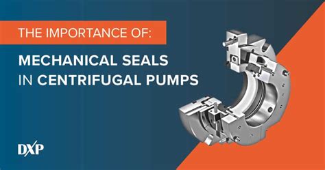 centrifugal pump seal plan|mechanical shaft seals for pumps.